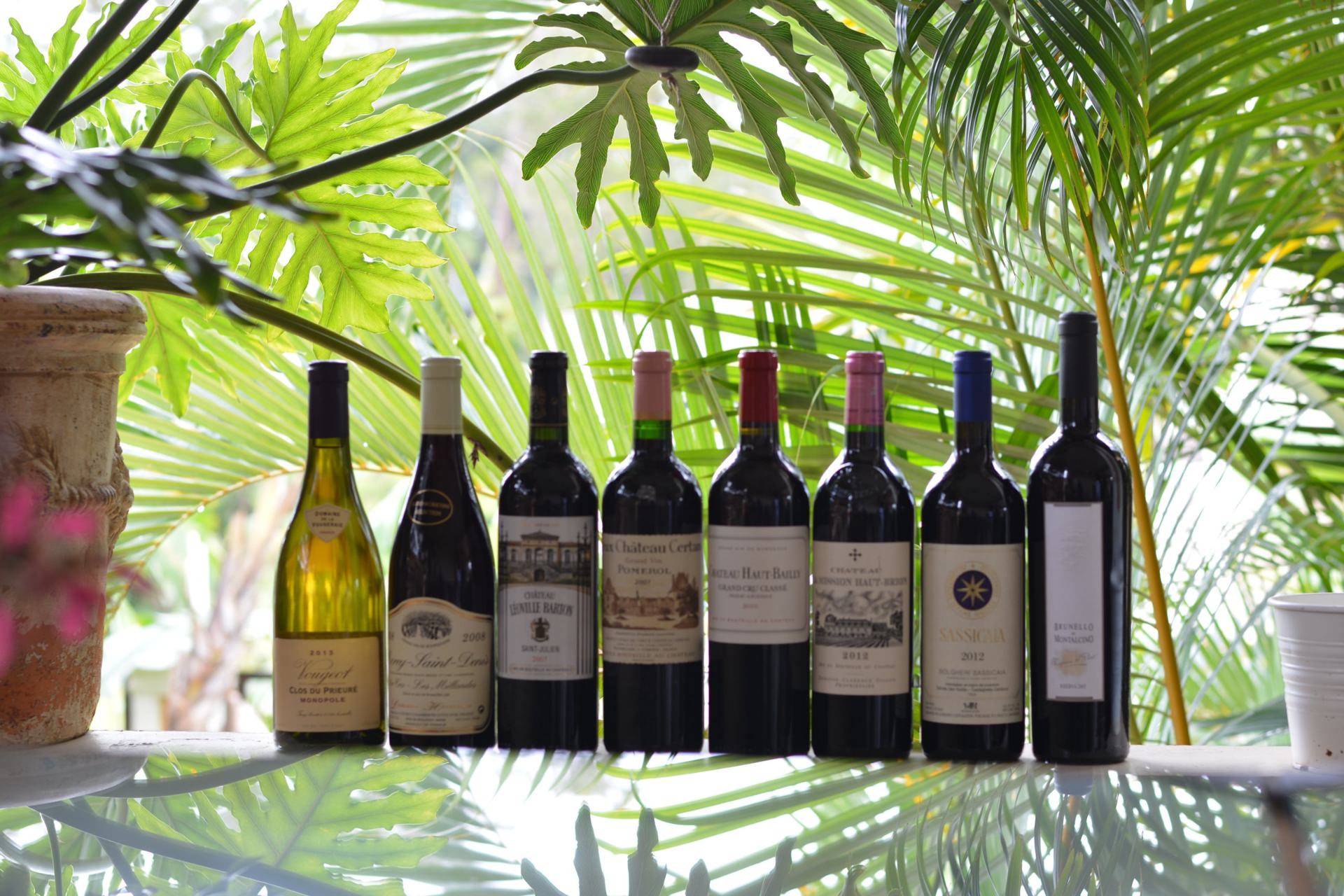Huit bouteilles de grands vins alignées devant des plantes tropicales